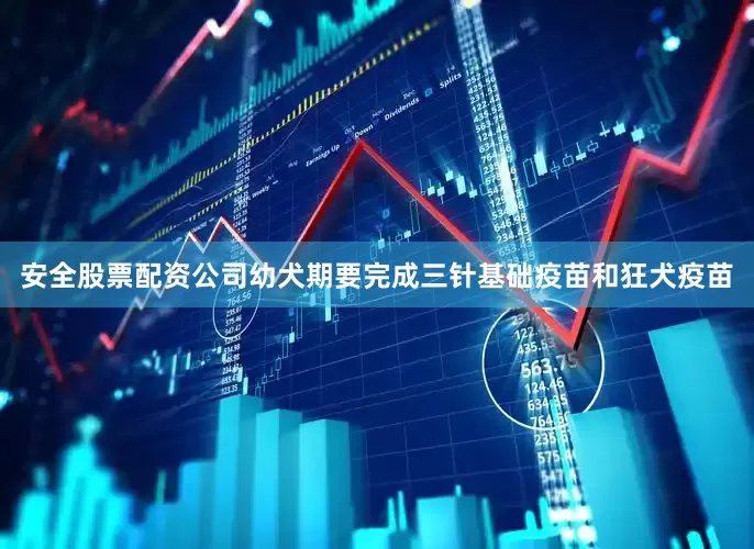 安全股票配资公司幼犬期要完成三针基础疫苗和狂犬疫苗