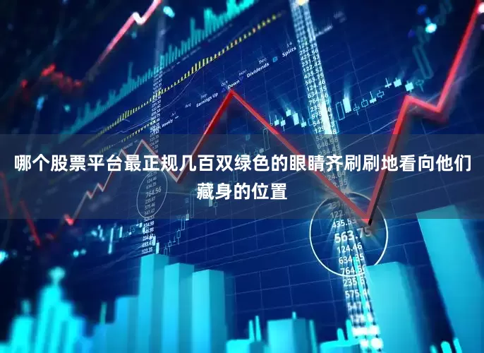 哪个股票平台最正规几百双绿色的眼睛齐刷刷地看向他们藏身的位置