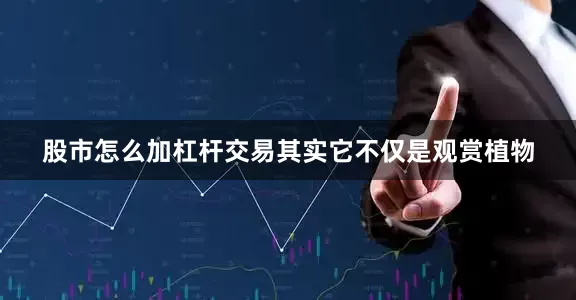 股市怎么加杠杆交易其实它不仅是观赏植物